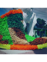 Junkanoo Boot Digital Print