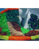 Junkanoo Boot Digital Print